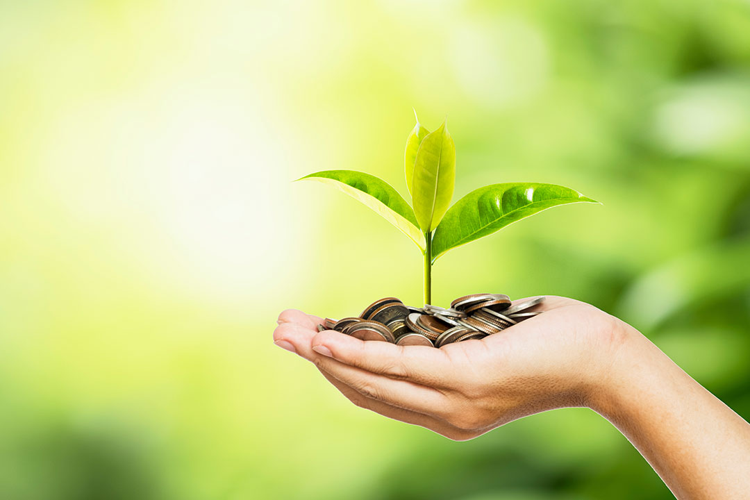 Leaves growing from coins held in hands