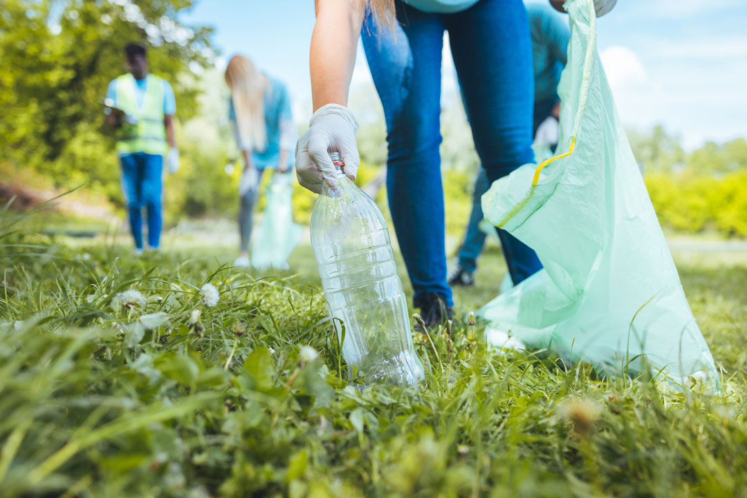 Volunteers cleaning litter